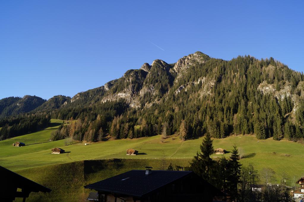 Hanslerfeld Alpbach Phòng bức ảnh