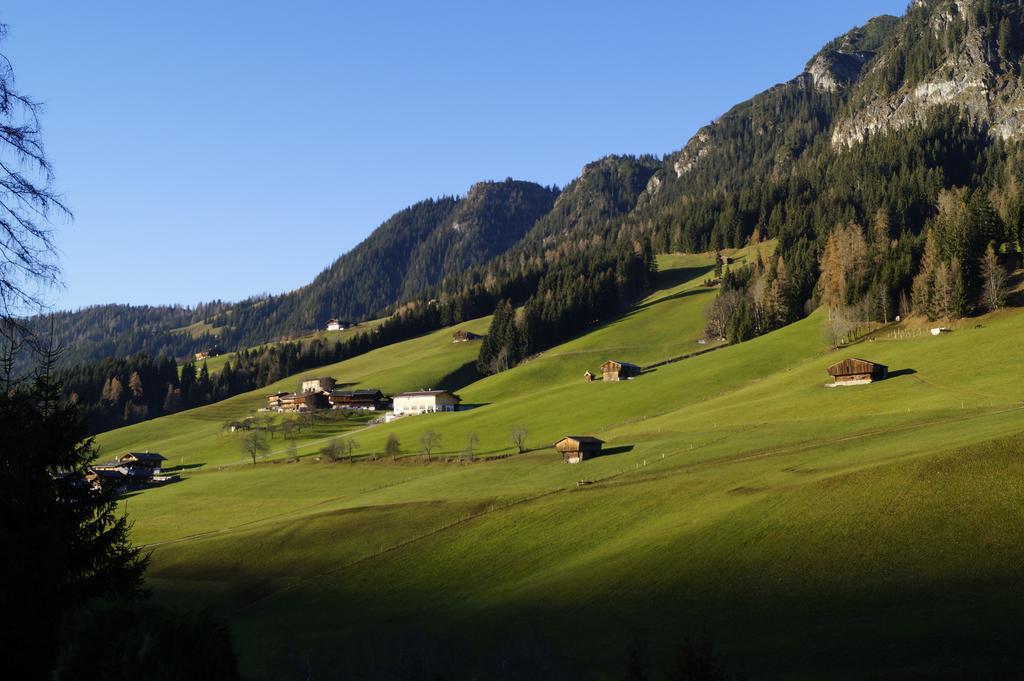 Hanslerfeld Alpbach Phòng bức ảnh