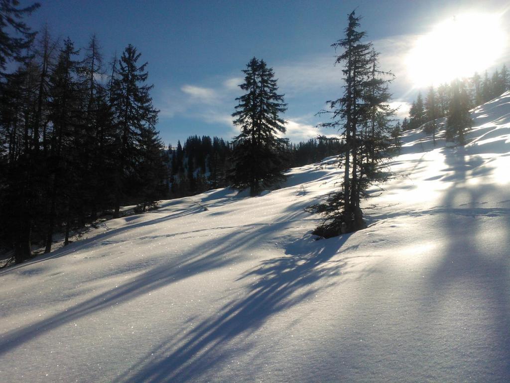 Hanslerfeld Alpbach Ngoại thất bức ảnh