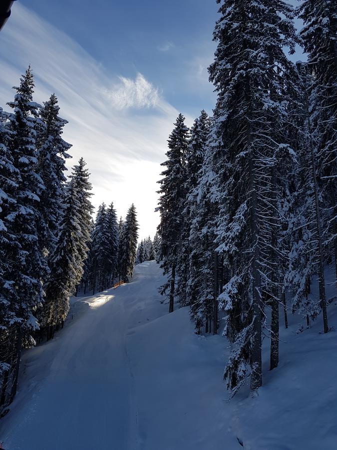 Hanslerfeld Alpbach Ngoại thất bức ảnh