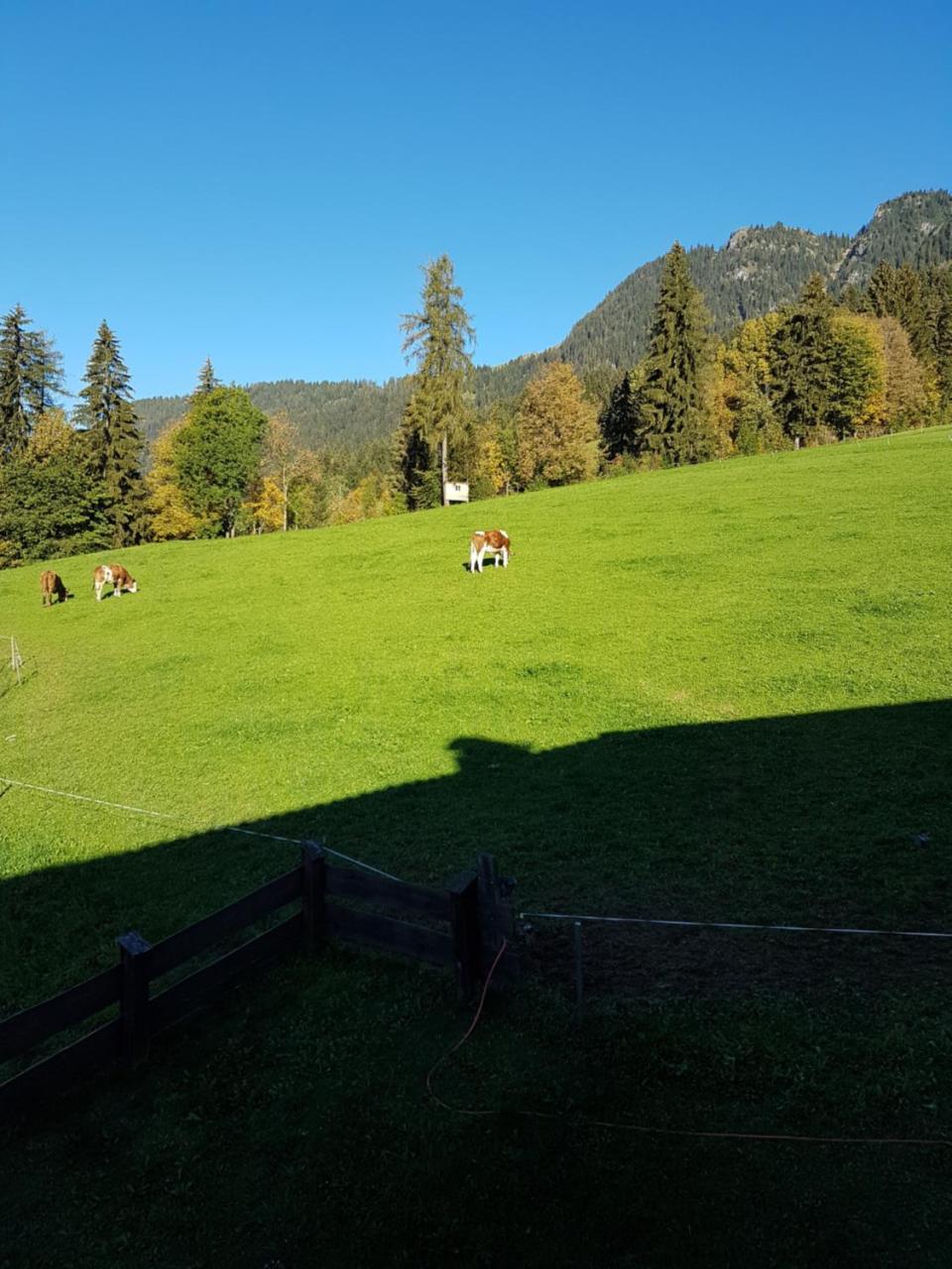 Hanslerfeld Alpbach Ngoại thất bức ảnh